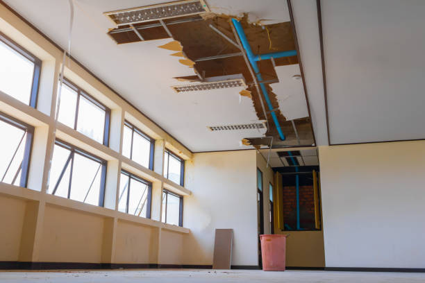 Best Water damage cleanup near me  in Strasburg, VA