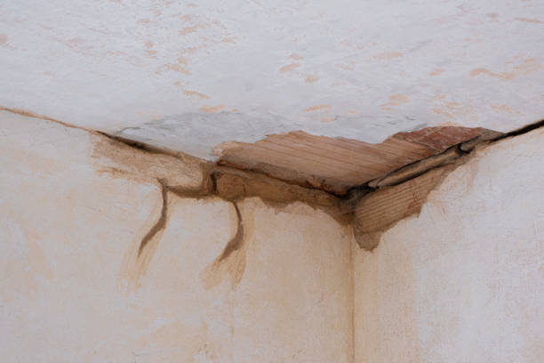 Best Mold removal after water damage  in Strasburg, VA