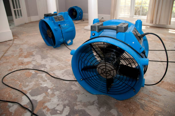 Best Residential water damage restoration  in Strasburg, VA