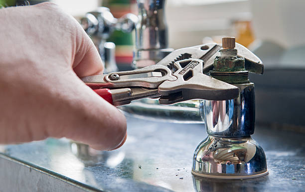 Best Flood damage cleanup  in Strasburg, VA