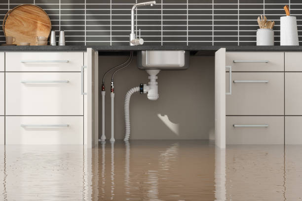 Best Fire Damage Restoration  in Strasburg, VA