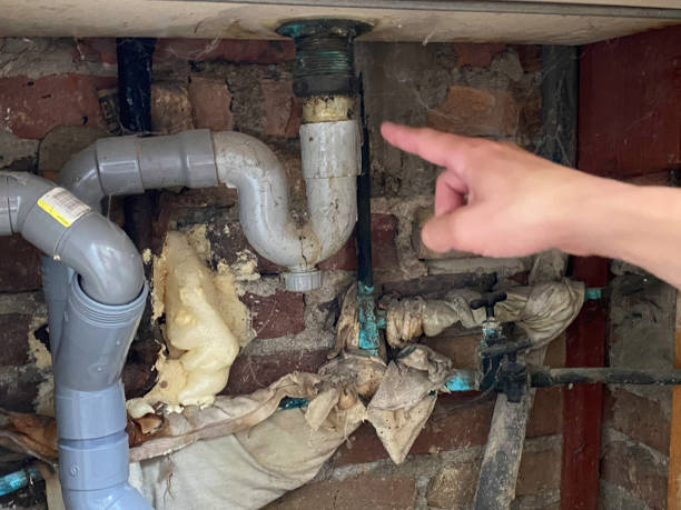 Best Water damage contractors near me  in Strasburg, VA