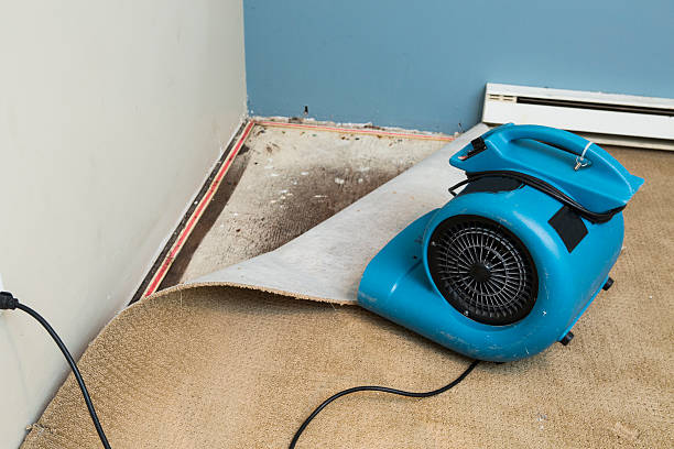 Best Flooded house restoration  in Strasburg, VA